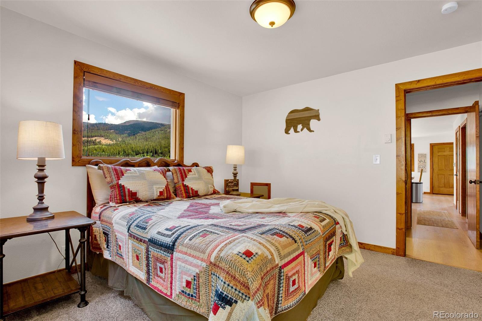 MLS Image #24 for 2399  co rd 6 ,alma, Colorado