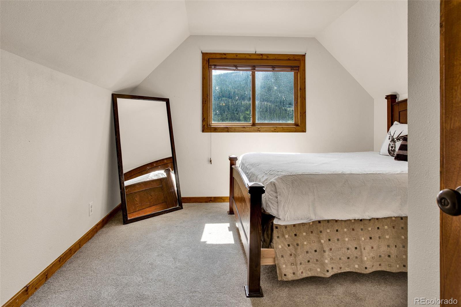 MLS Image #27 for 2399  co rd 6 ,alma, Colorado