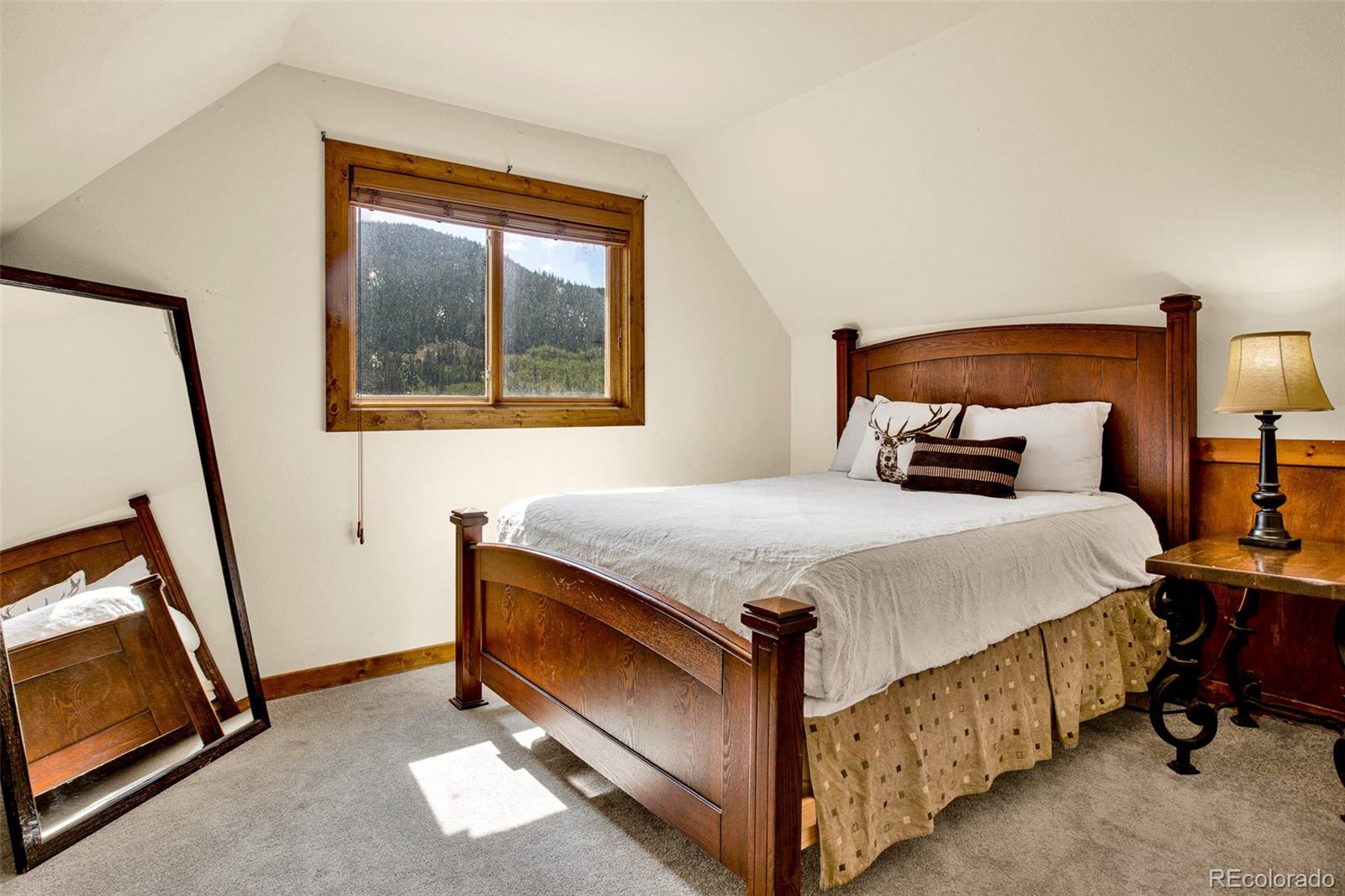 MLS Image #28 for 2399  co rd 6 ,alma, Colorado