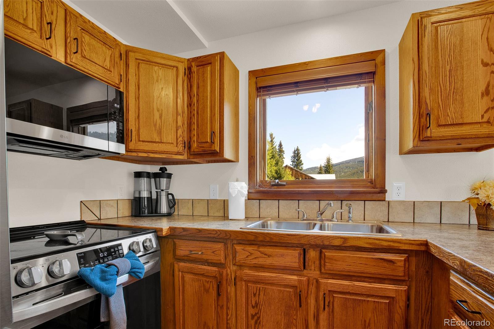 MLS Image #31 for 2399  co rd 6 ,alma, Colorado