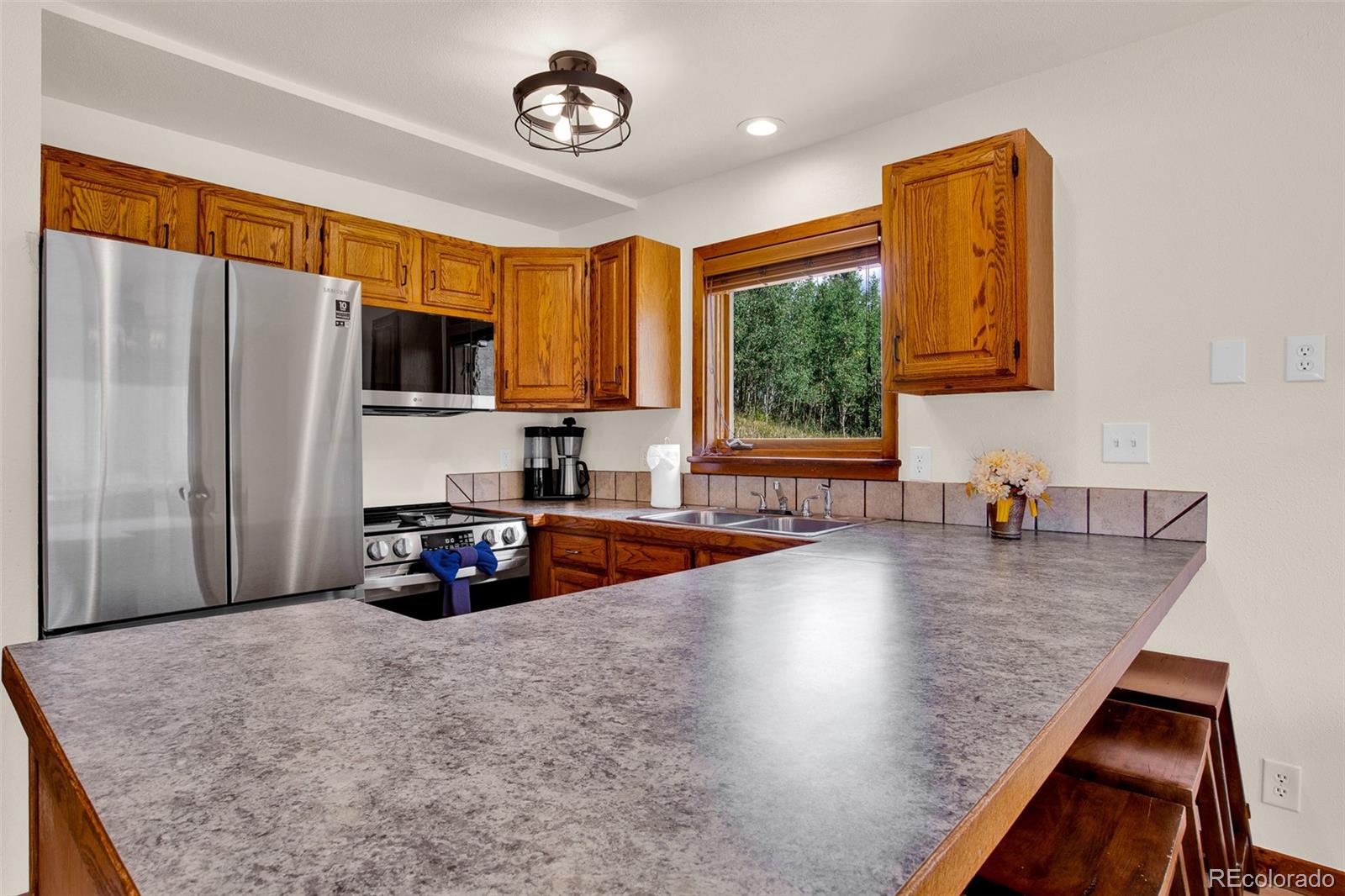 MLS Image #33 for 2399  co rd 6 ,alma, Colorado