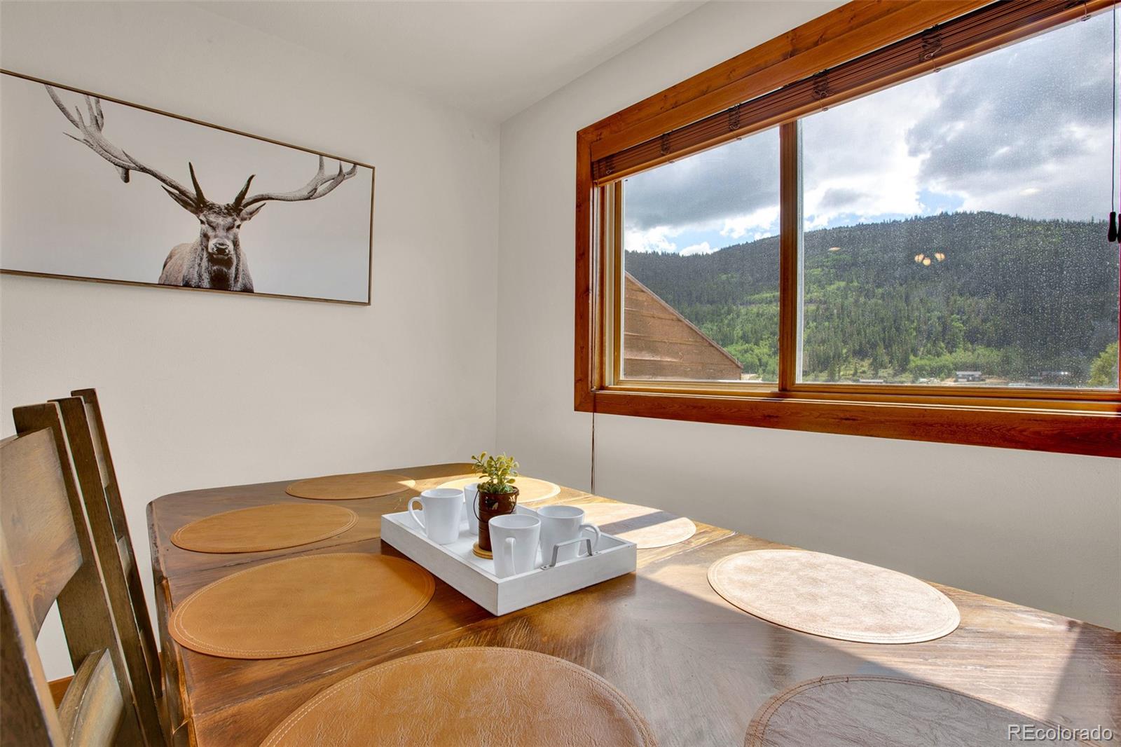 MLS Image #34 for 2399  co rd 6 ,alma, Colorado