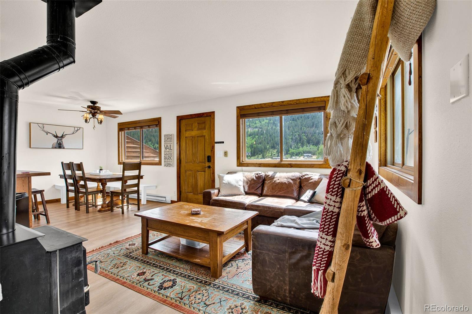 MLS Image #37 for 2399  co rd 6 ,alma, Colorado