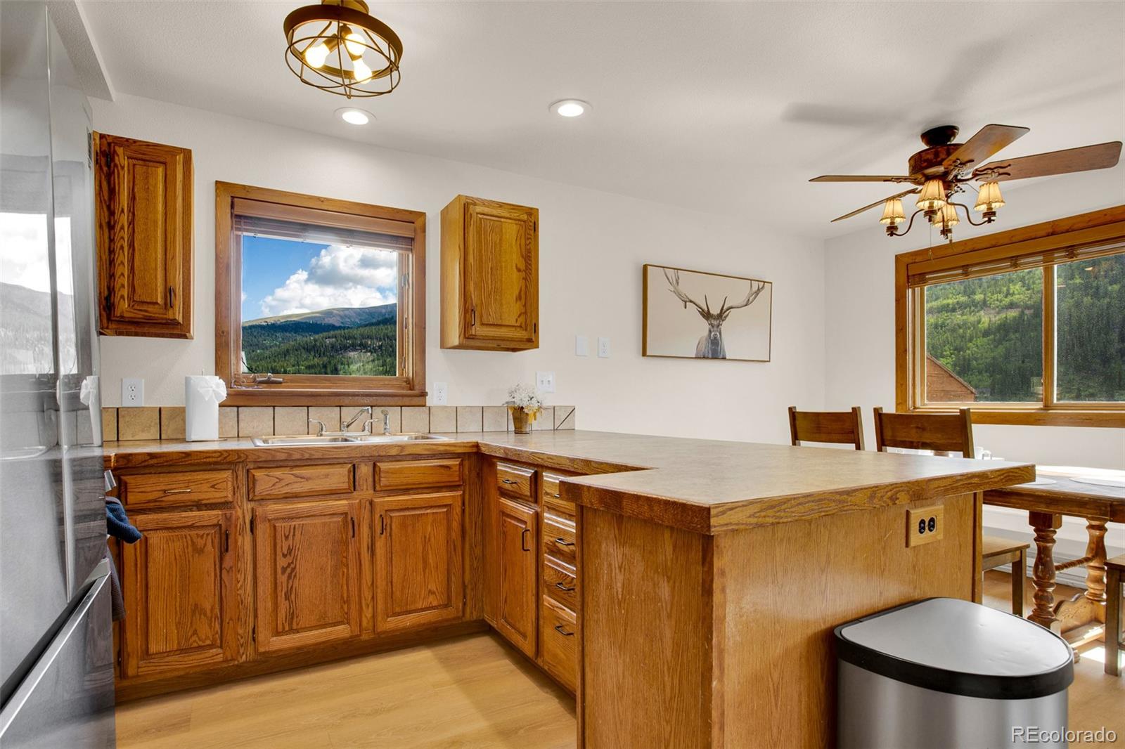 MLS Image #4 for 2399  co rd 6 ,alma, Colorado