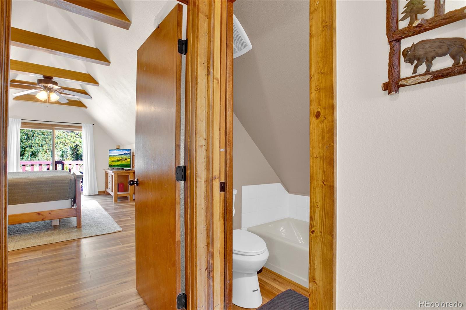 MLS Image #40 for 2399  co rd 6 ,alma, Colorado