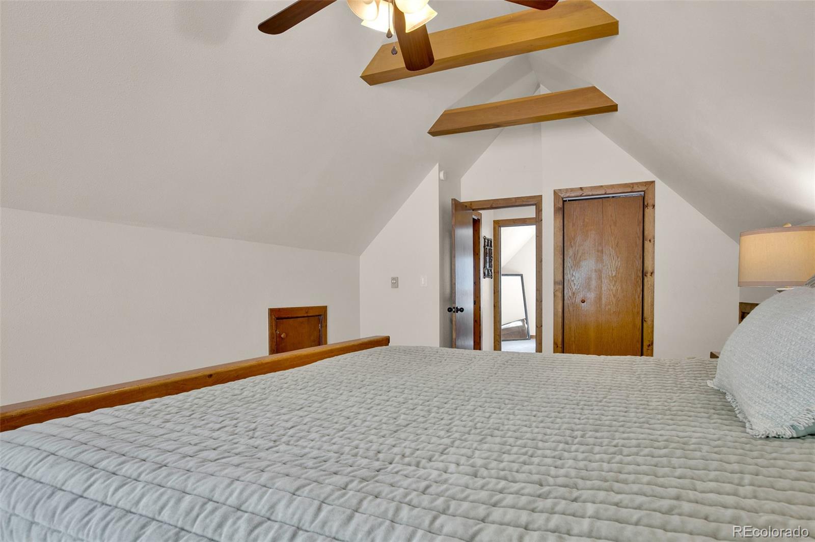 MLS Image #41 for 2399  co rd 6 ,alma, Colorado