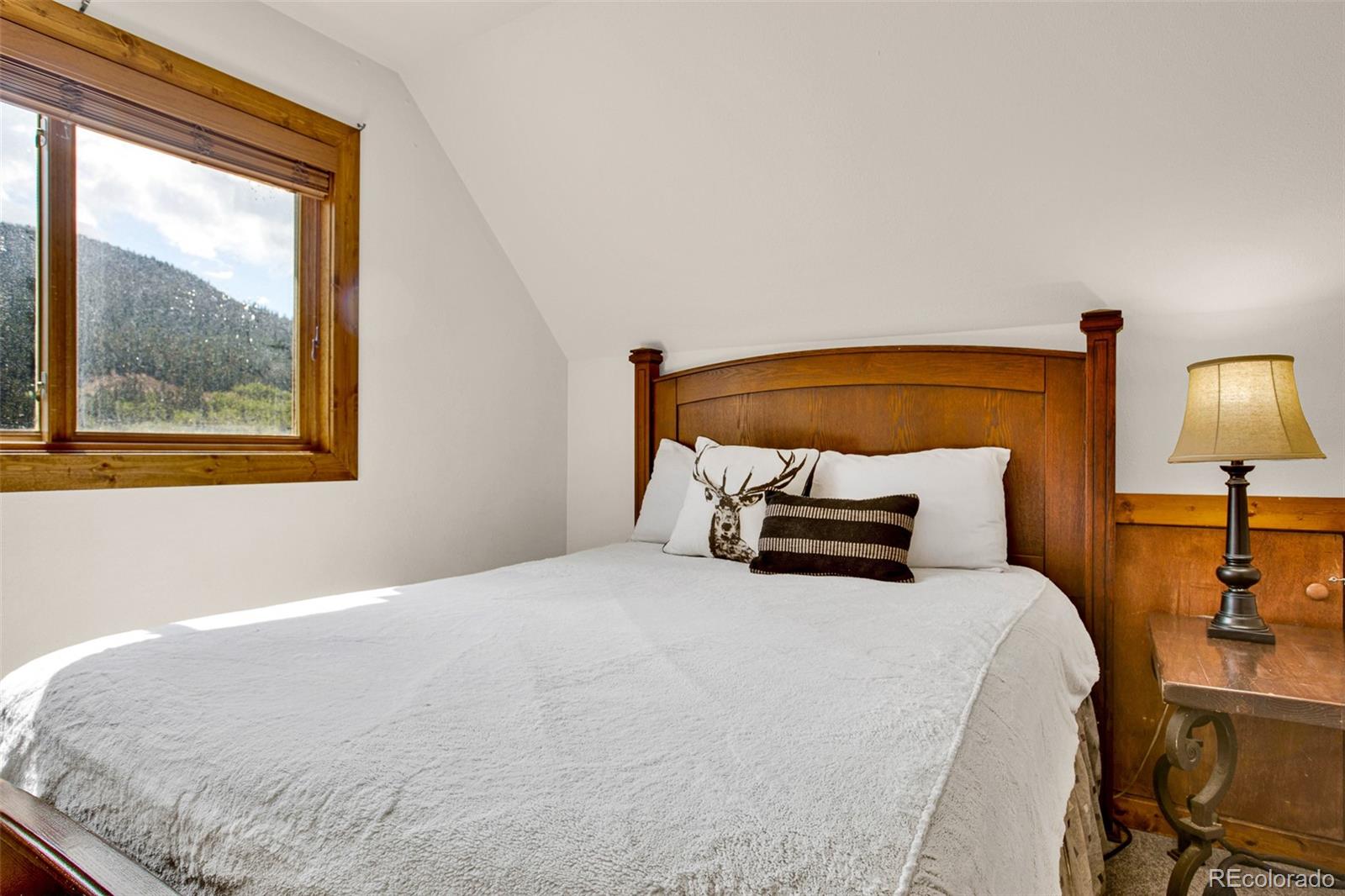 MLS Image #42 for 2399  co rd 6 ,alma, Colorado