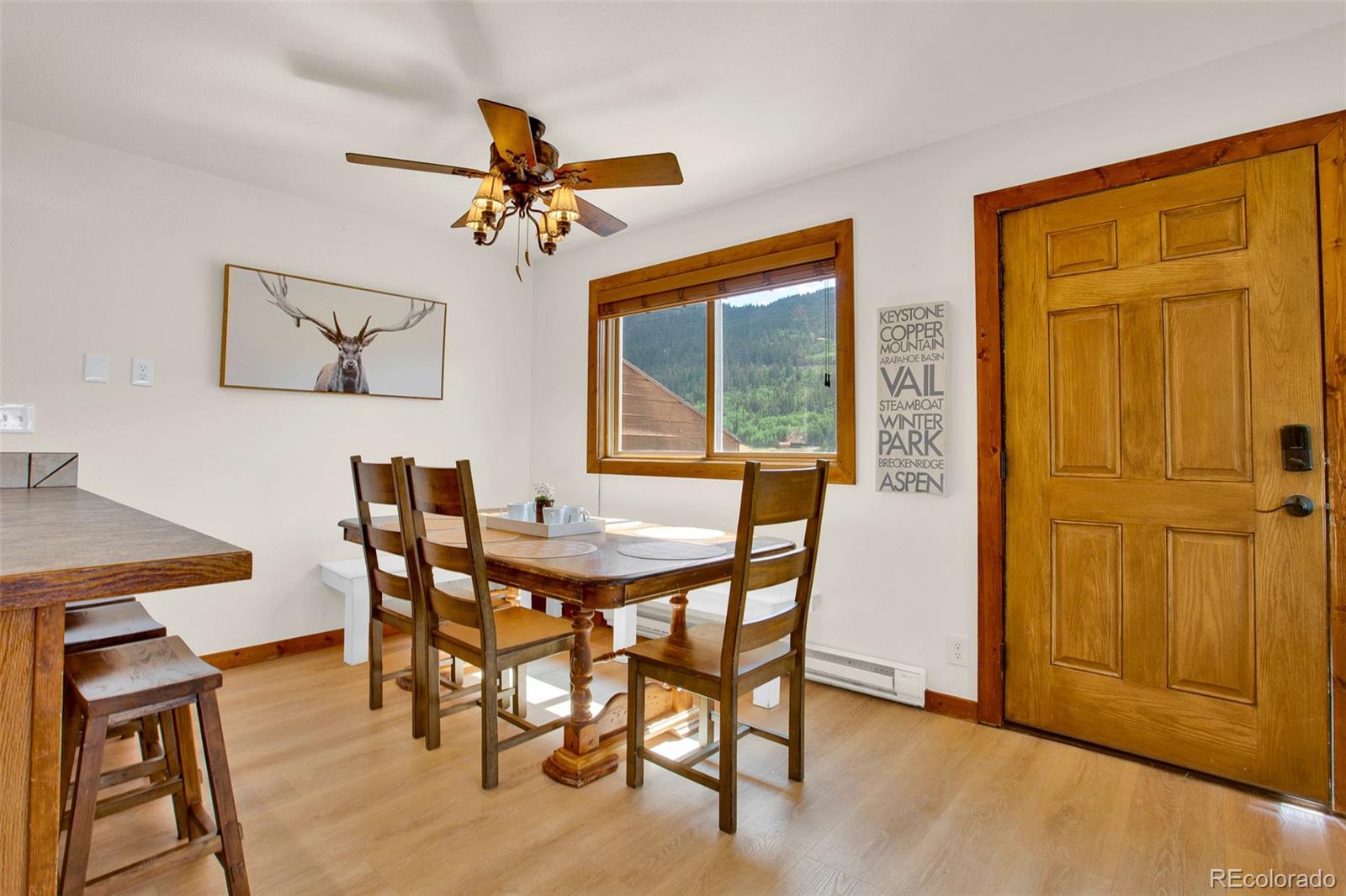 MLS Image #6 for 2399  co rd 6 ,alma, Colorado