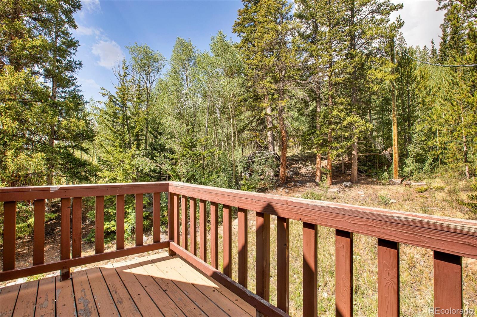 MLS Image #9 for 2399  co rd 6 ,alma, Colorado