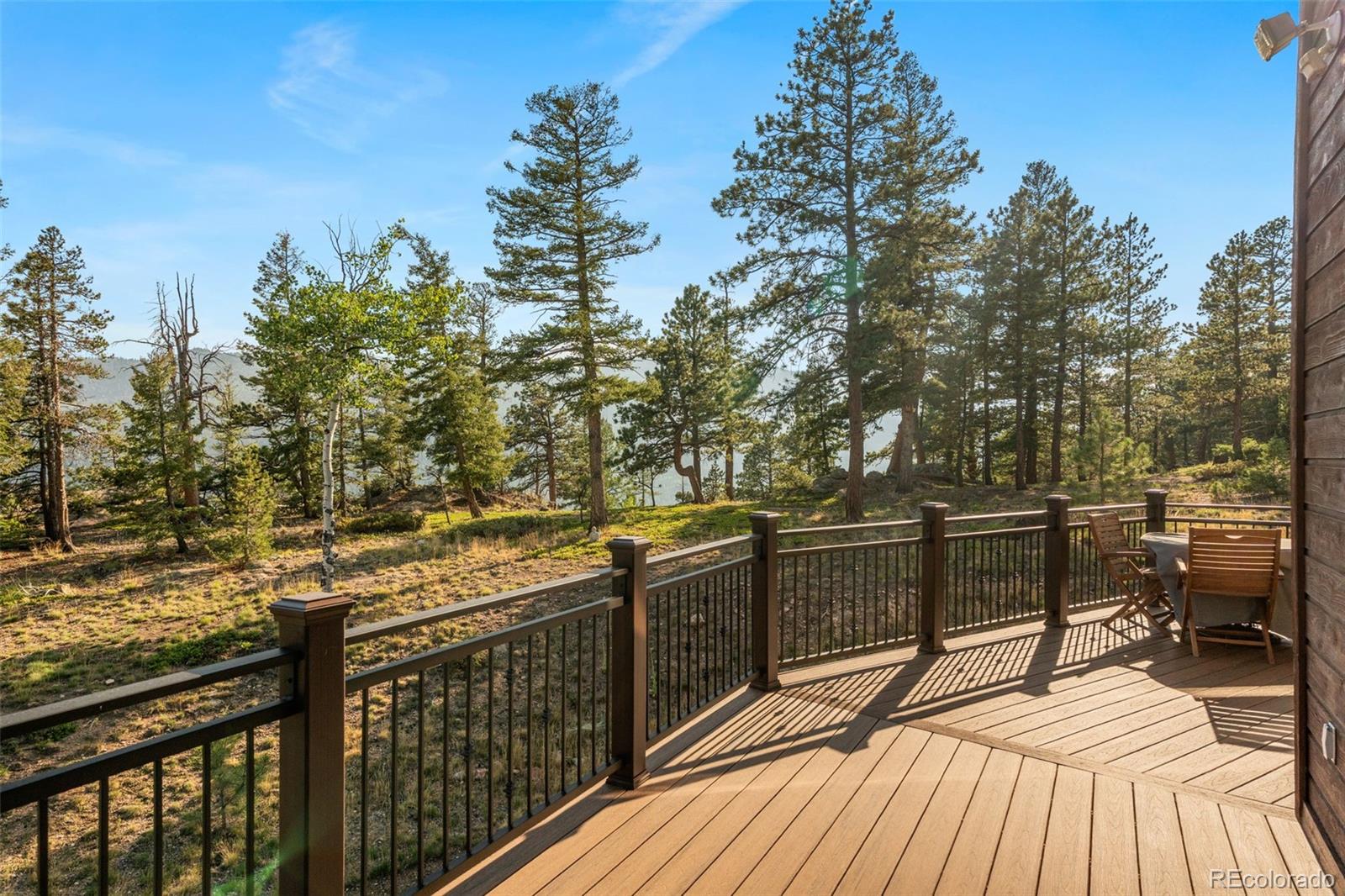MLS Image #12 for 9831 s warhawk road,conifer, Colorado