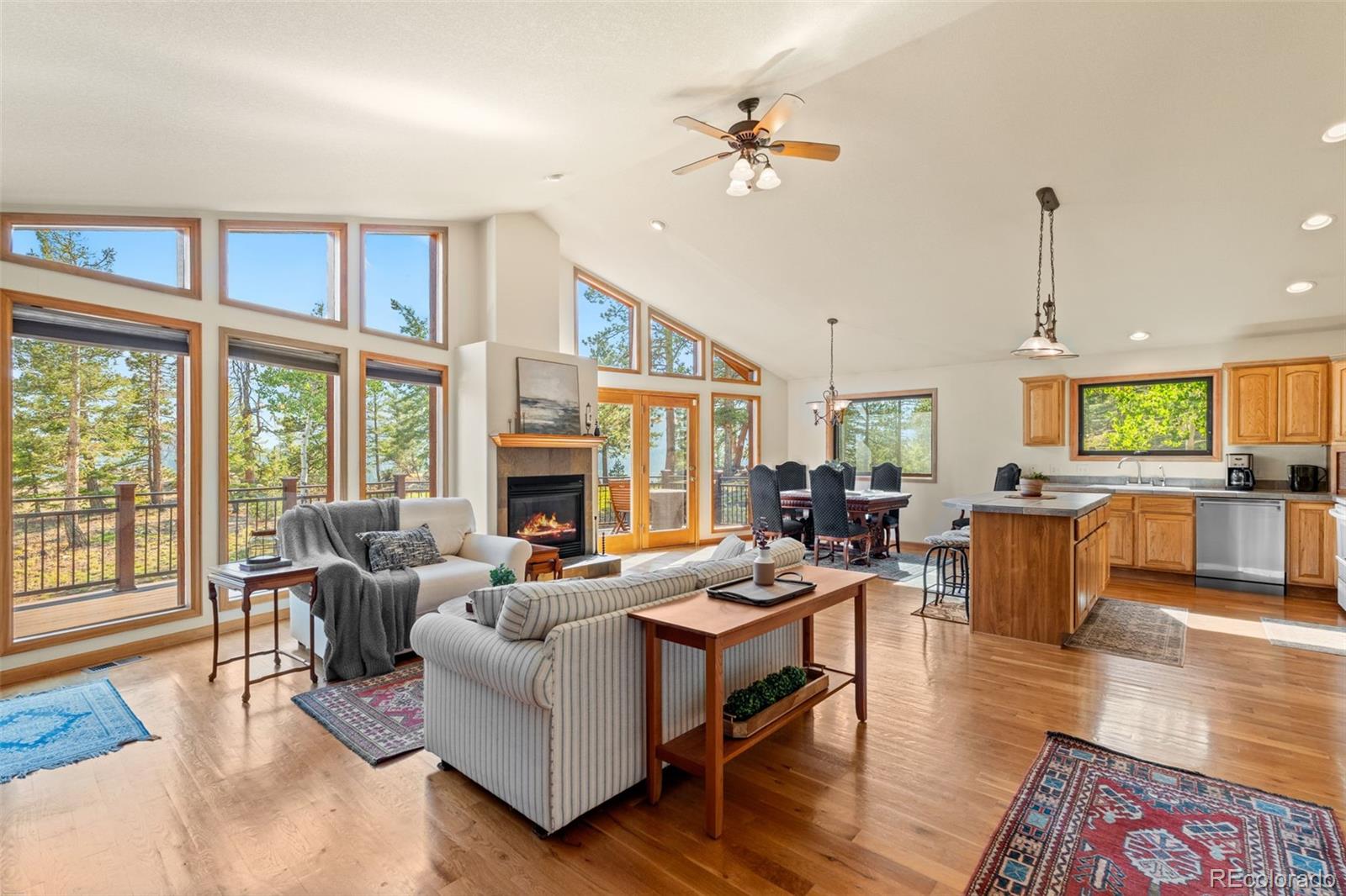 MLS Image #14 for 9831 s warhawk road,conifer, Colorado