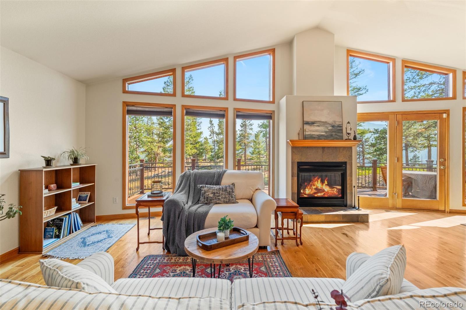 MLS Image #15 for 9831 s warhawk road,conifer, Colorado