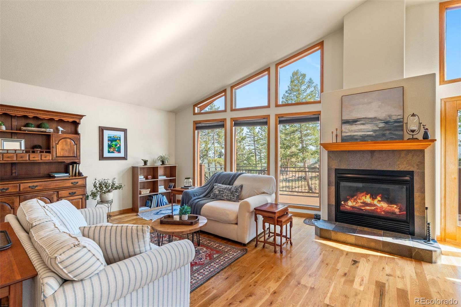 MLS Image #16 for 9831 s warhawk road,conifer, Colorado