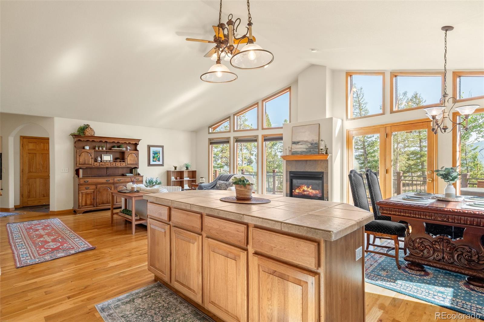 MLS Image #21 for 9831 s warhawk road,conifer, Colorado