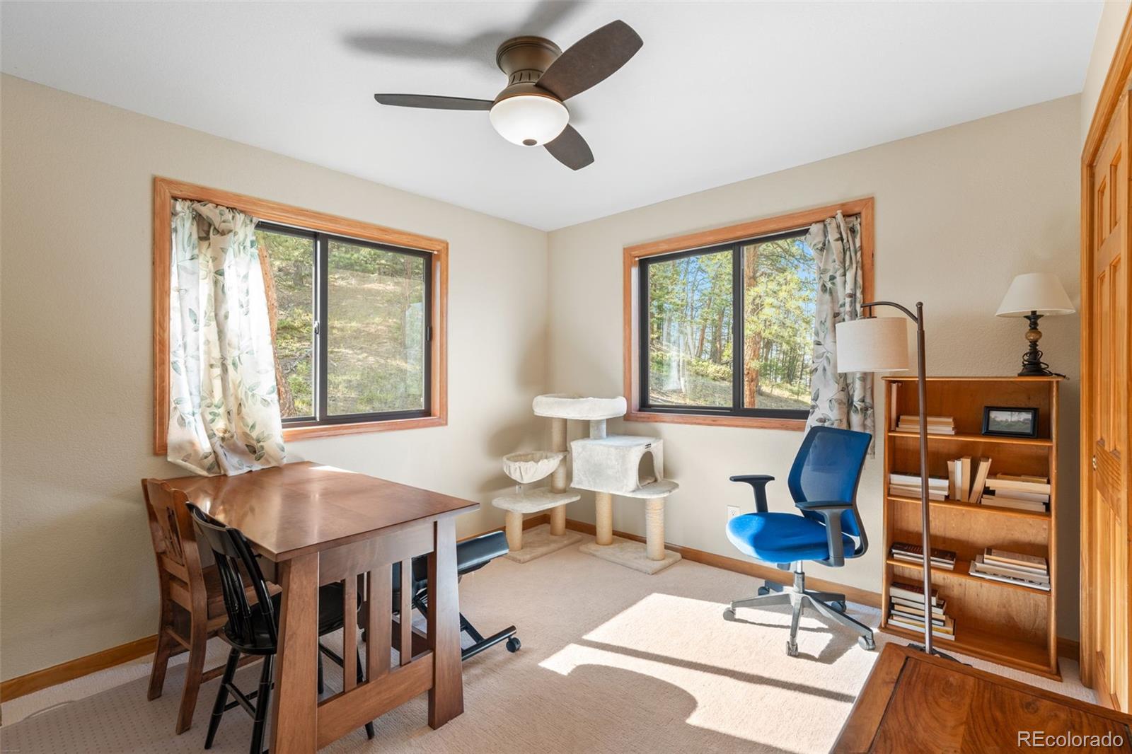 MLS Image #26 for 9831 s warhawk road,conifer, Colorado