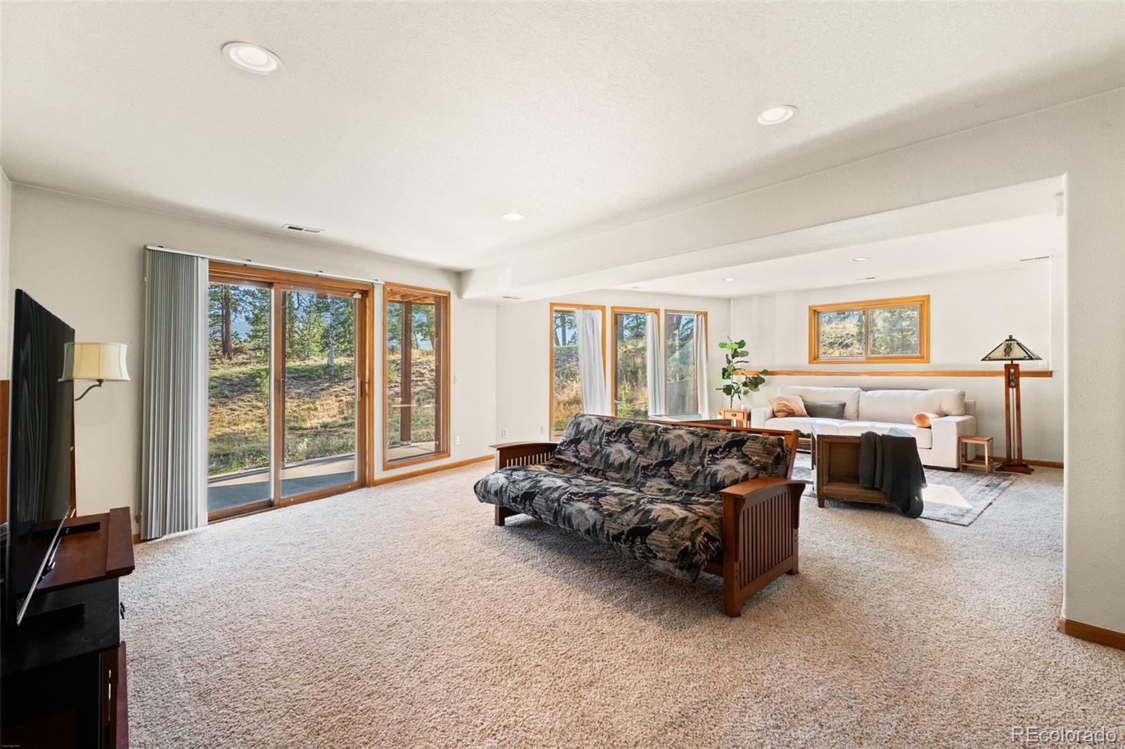 MLS Image #29 for 9831 s warhawk road,conifer, Colorado