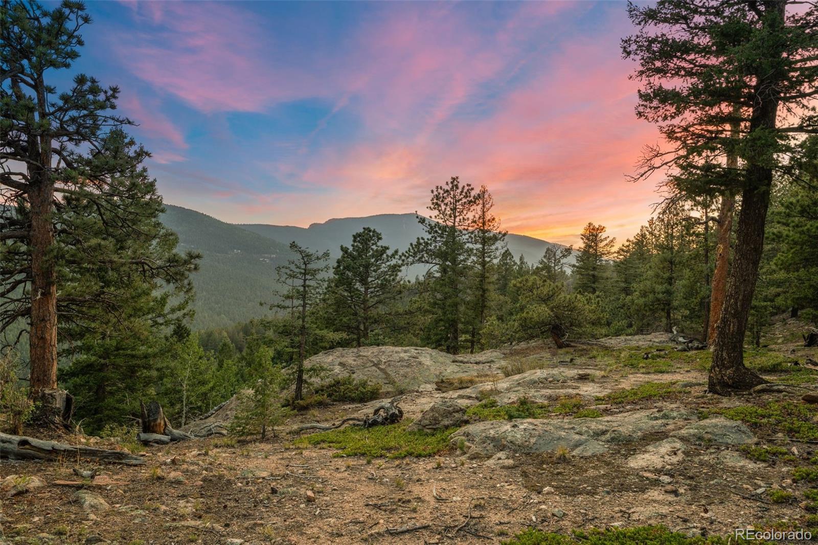 MLS Image #3 for 9831 s warhawk road,conifer, Colorado