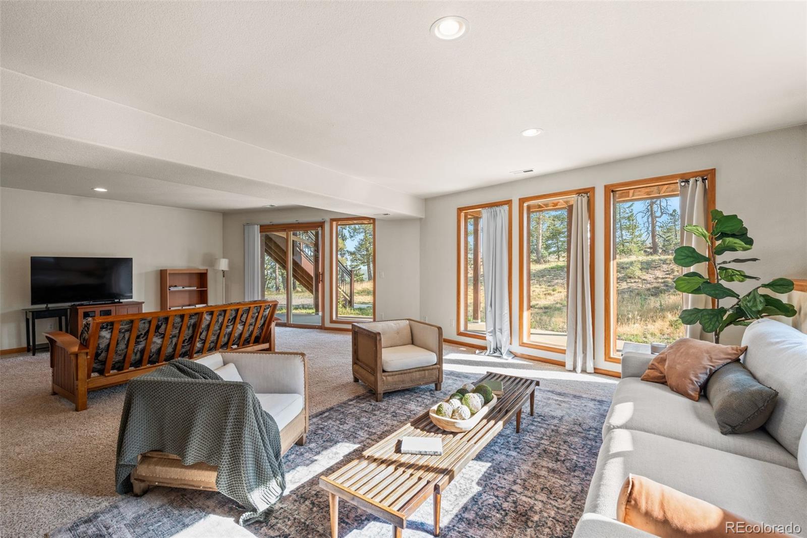 MLS Image #31 for 9831 s warhawk road,conifer, Colorado