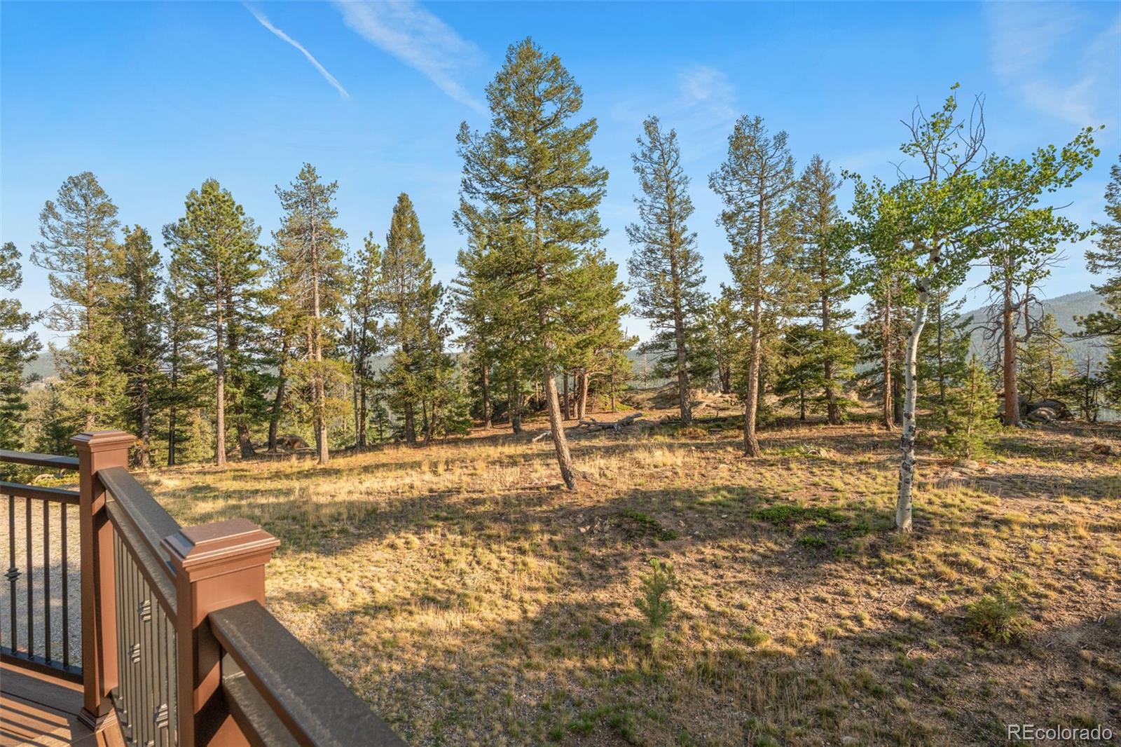 MLS Image #35 for 9831 s warhawk road,conifer, Colorado