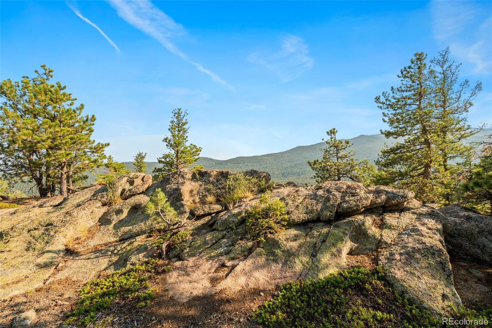 MLS Image #37 for 9831 s warhawk road,conifer, Colorado
