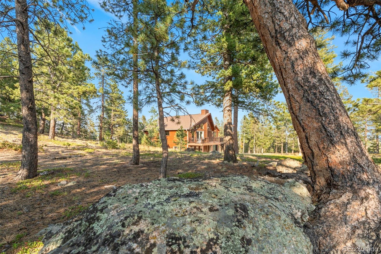 MLS Image #38 for 9831 s warhawk road,conifer, Colorado