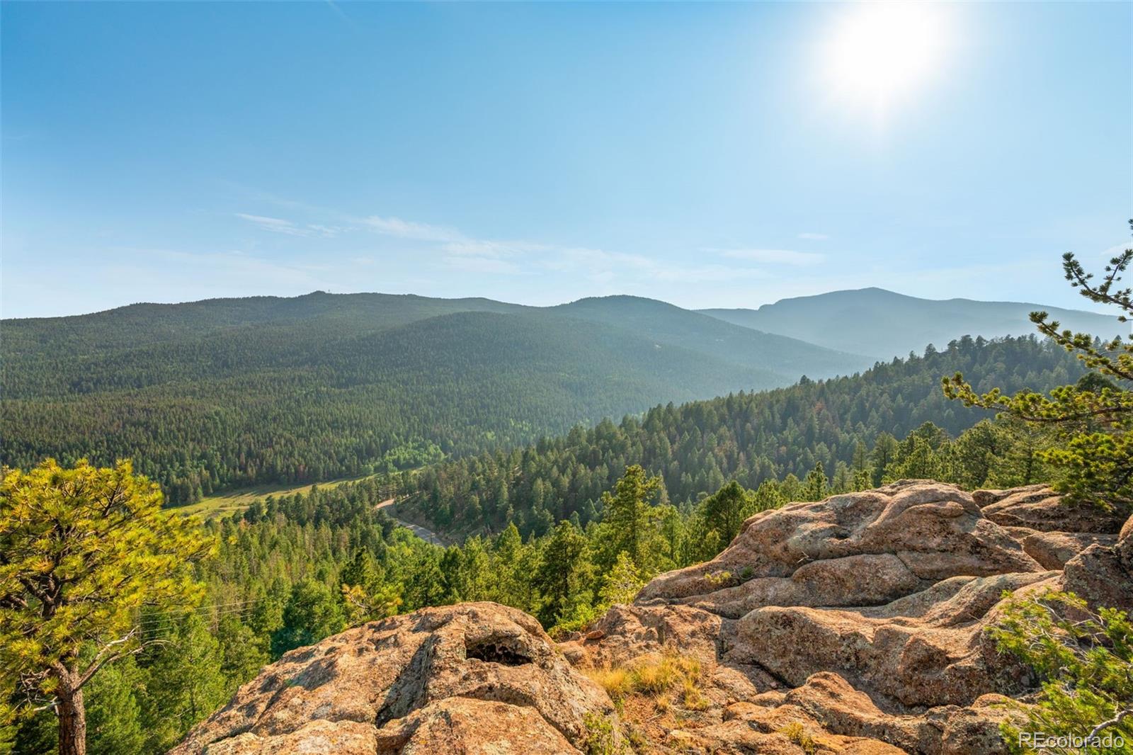 MLS Image #4 for 9831 s warhawk road,conifer, Colorado