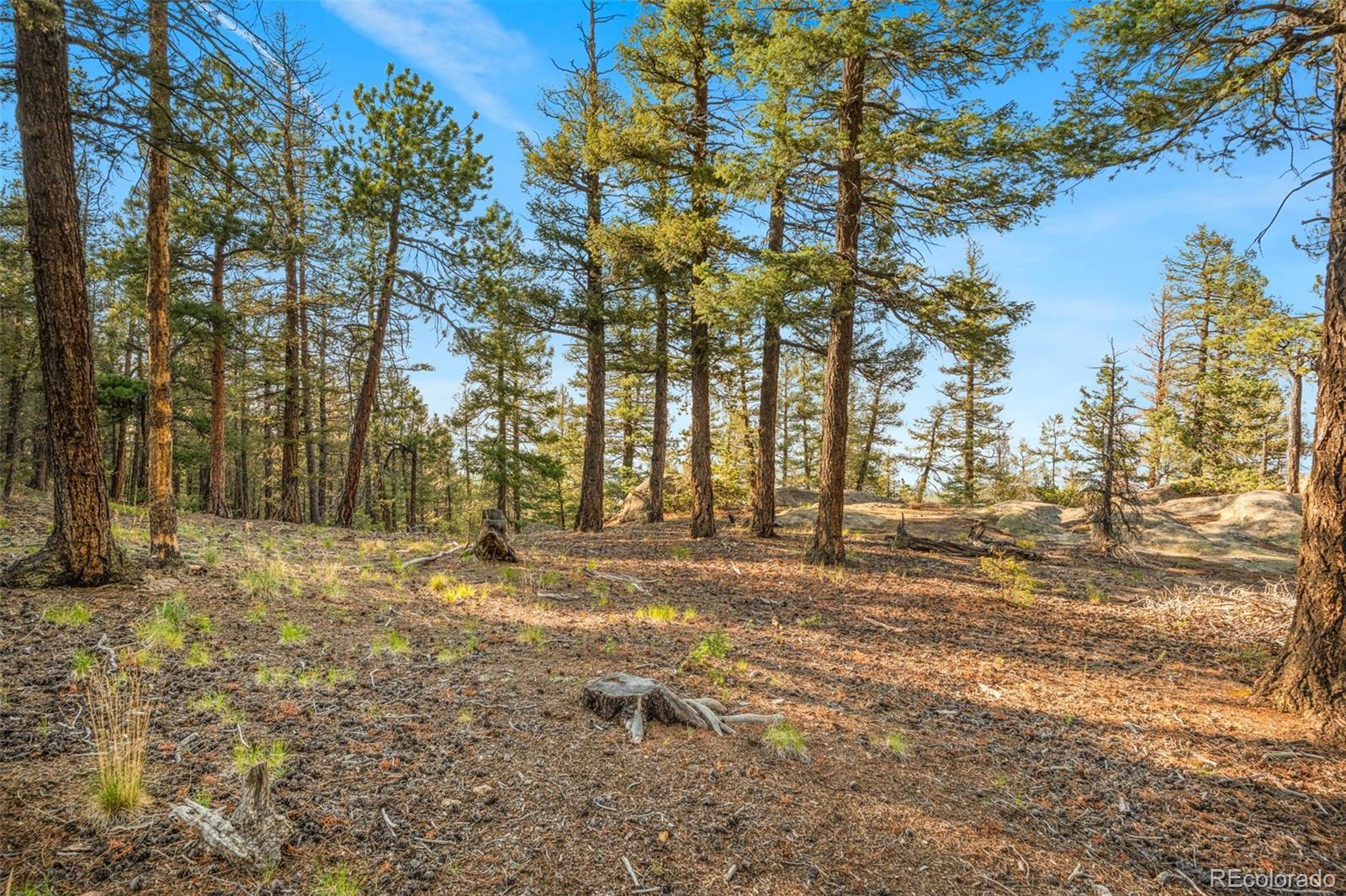 MLS Image #41 for 9831 s warhawk road,conifer, Colorado