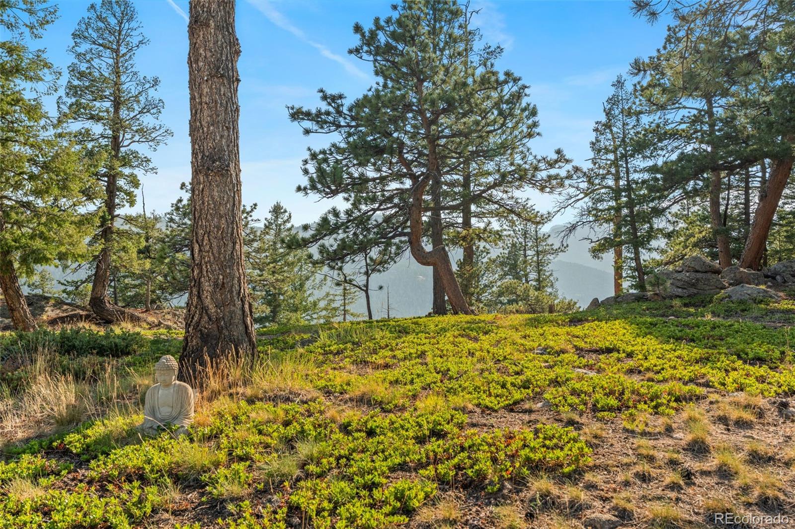 MLS Image #5 for 9831 s warhawk road,conifer, Colorado