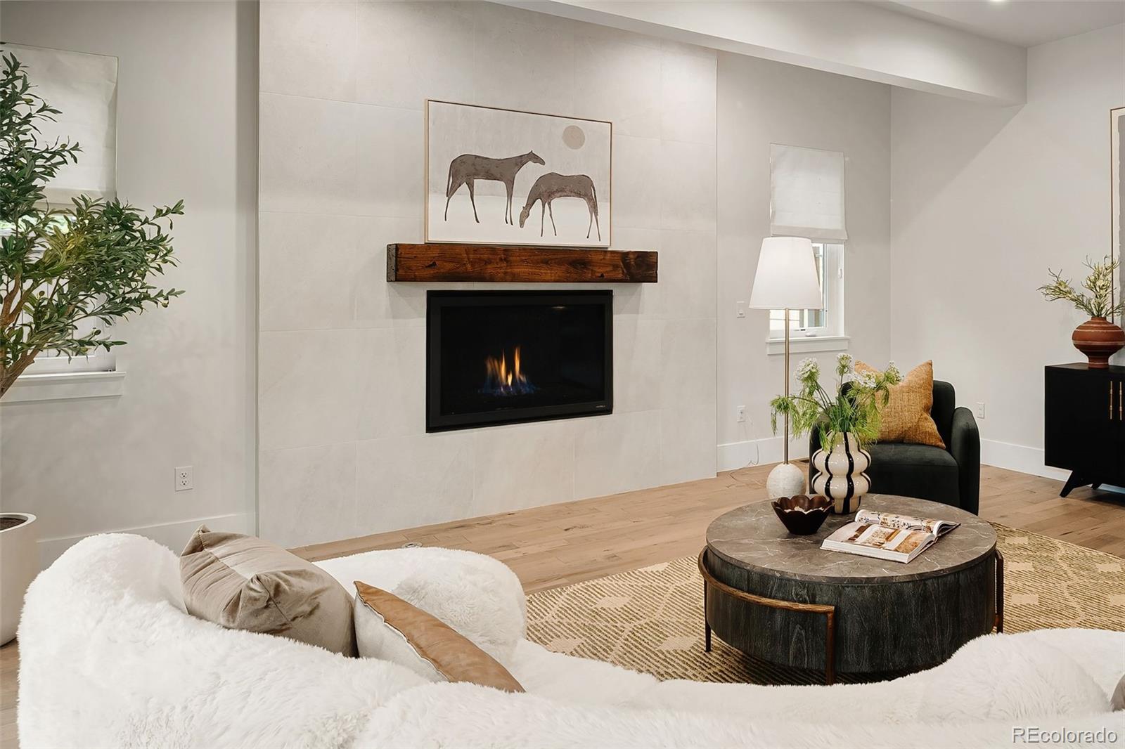 MLS Image #14 for 20  ivanhoe street,denver, Colorado