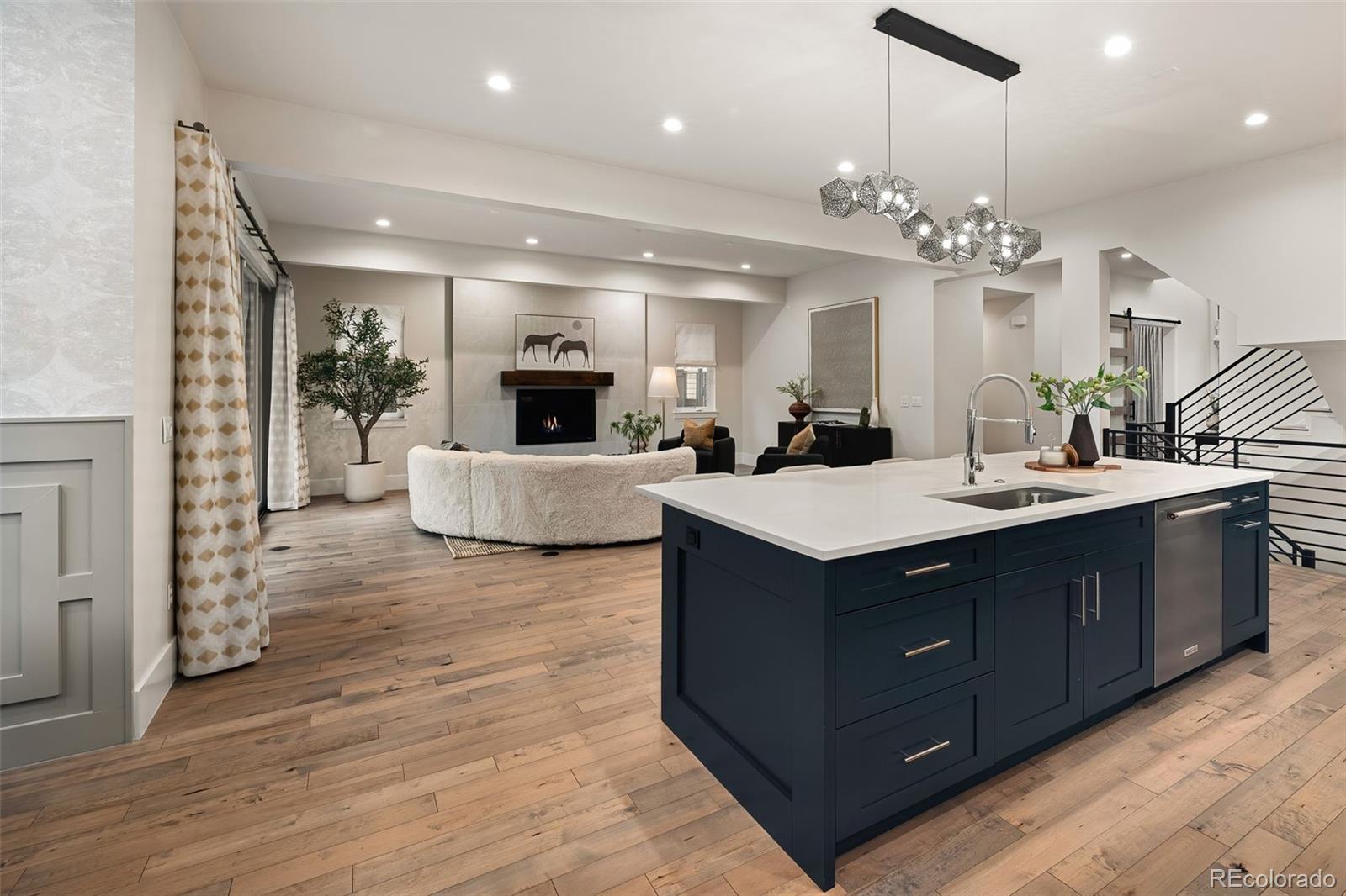 MLS Image #19 for 20  ivanhoe street,denver, Colorado