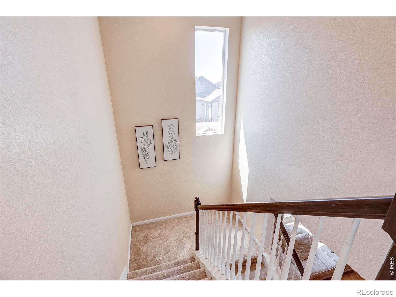 MLS Image #15 for 1617  northcroft drive,windsor, Colorado