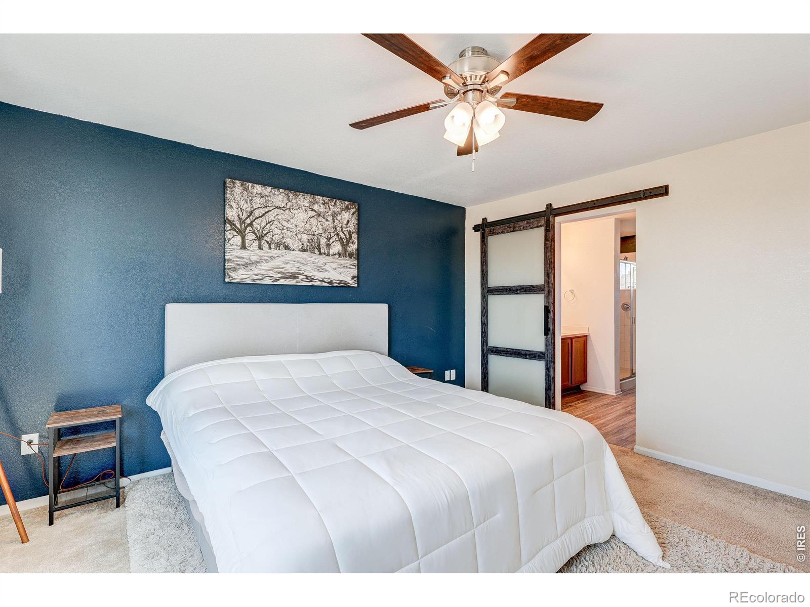 MLS Image #18 for 1617  northcroft drive,windsor, Colorado