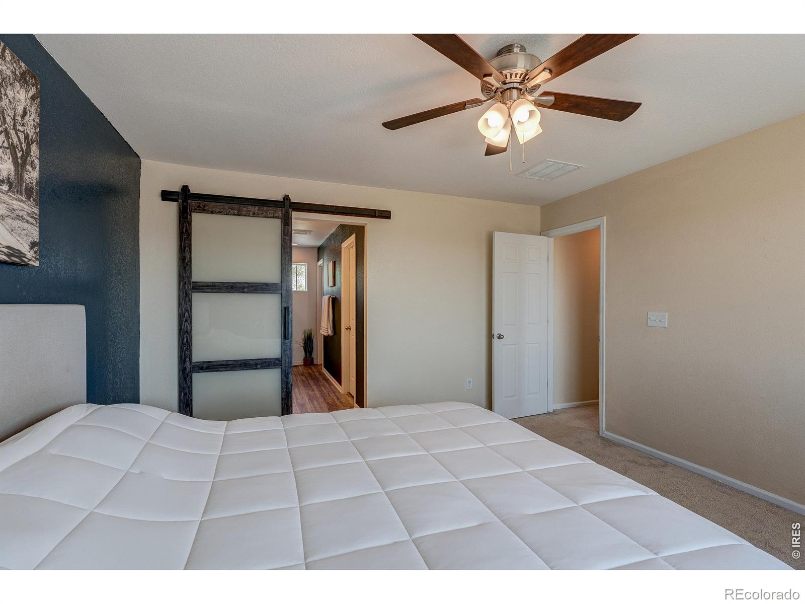 MLS Image #20 for 1617  northcroft drive,windsor, Colorado