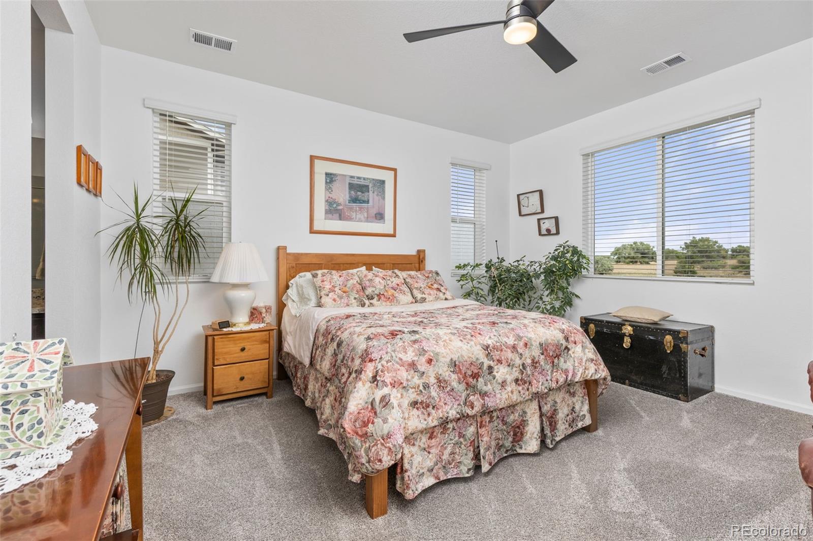 MLS Image #12 for 2977  marsh hawk way,brighton, Colorado