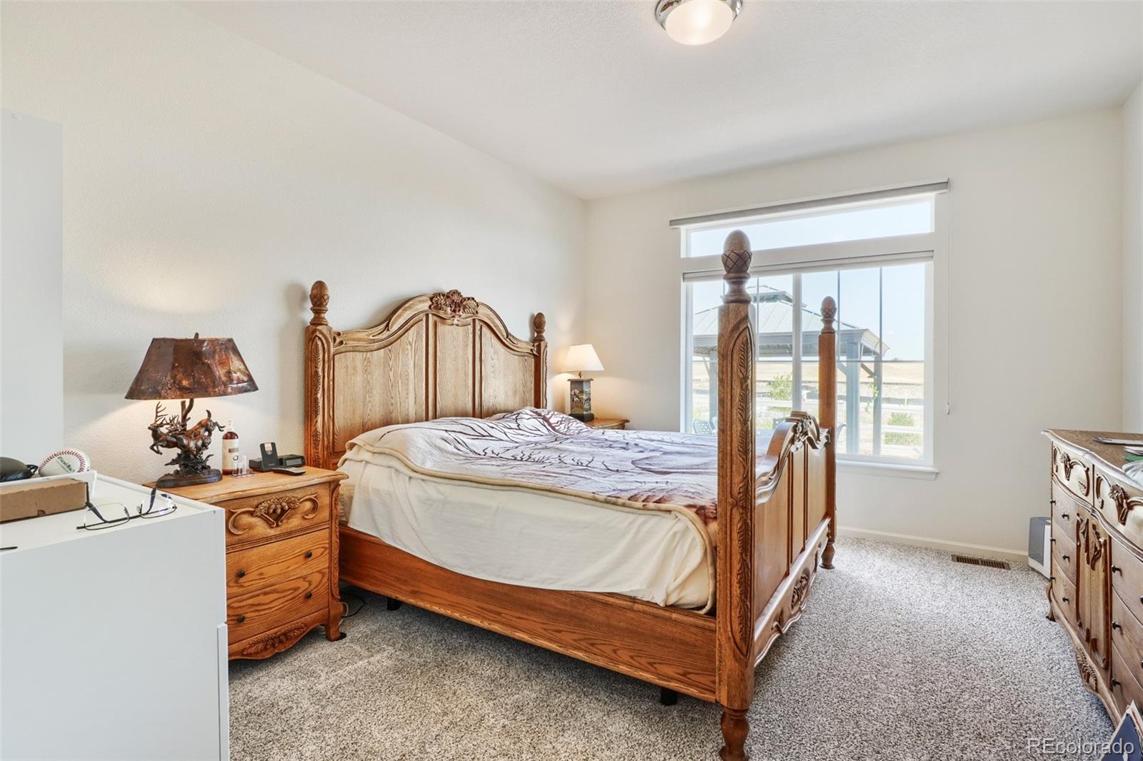 MLS Image #17 for 5066 n quemoy court,aurora, Colorado