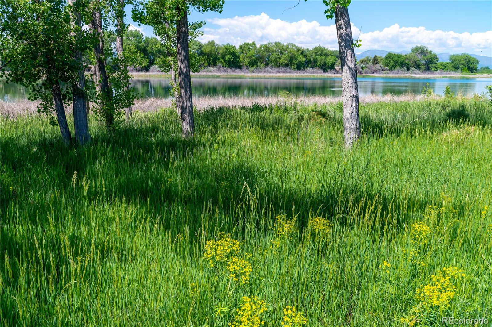 MLS Image #19 for 2978  fleet drive,fort collins, Colorado