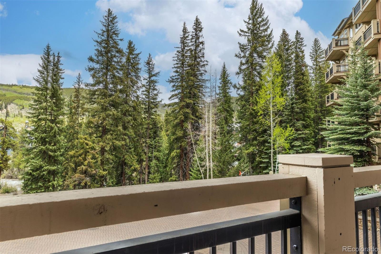 MLS Image #15 for 280  trailhead drive,dillon, Colorado