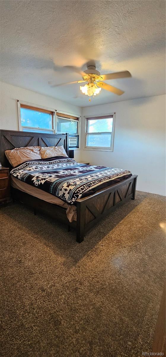 MLS Image #10 for 502  colorado avenue,arriba, Colorado