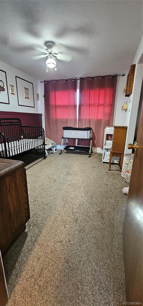 MLS Image #11 for 502  colorado avenue,arriba, Colorado