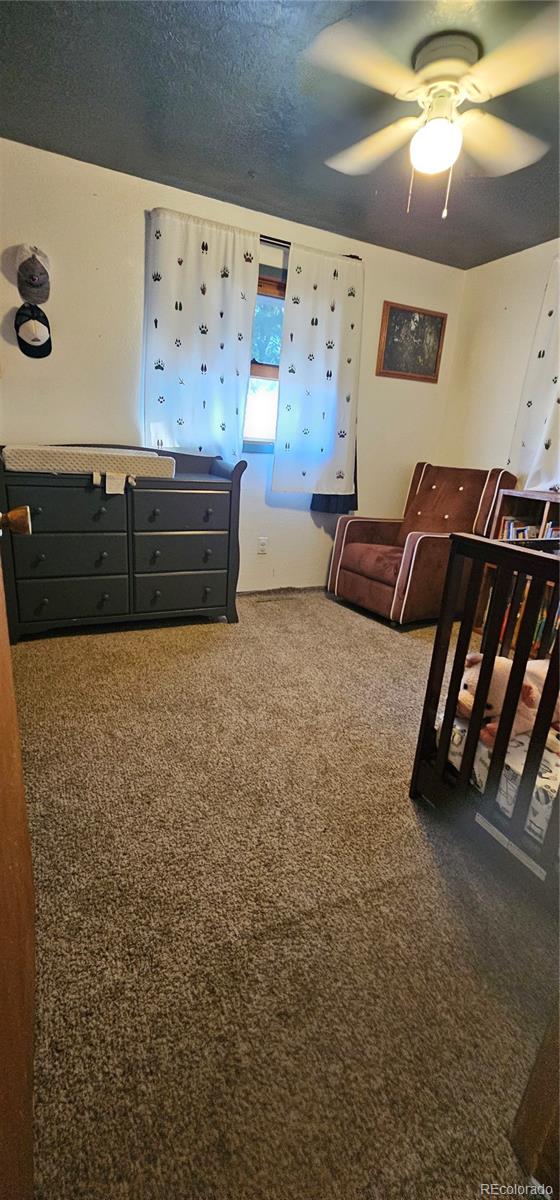 MLS Image #12 for 502  colorado avenue,arriba, Colorado