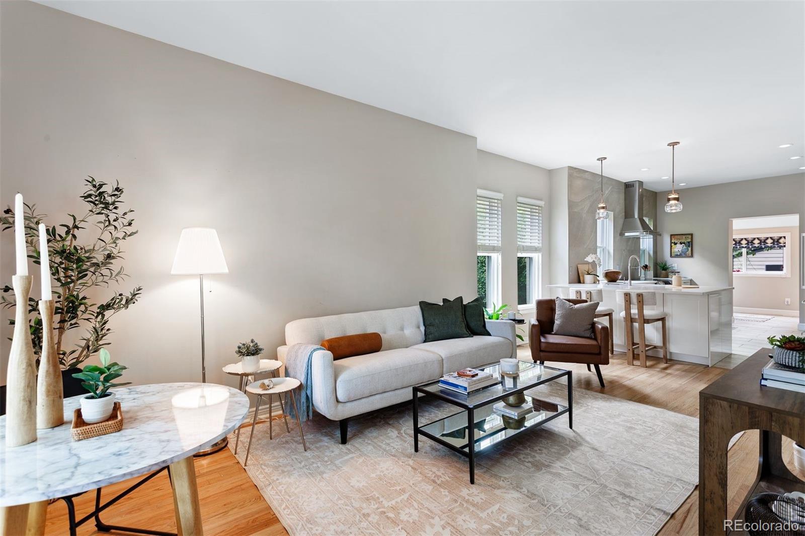 MLS Image #10 for 221 s ogden street,denver, Colorado