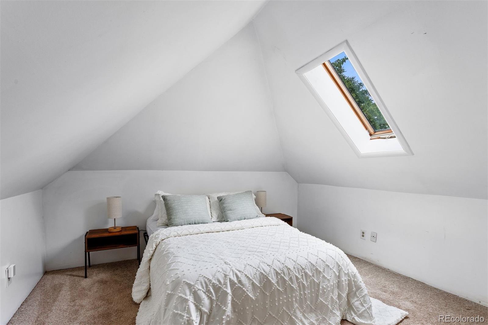 MLS Image #21 for 221 s ogden street,denver, Colorado