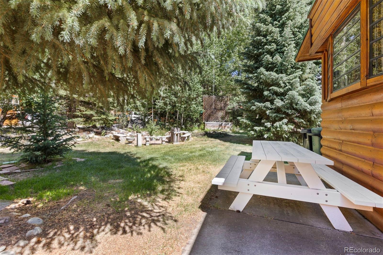 MLS Image #22 for 85  revett drive,breckenridge, Colorado