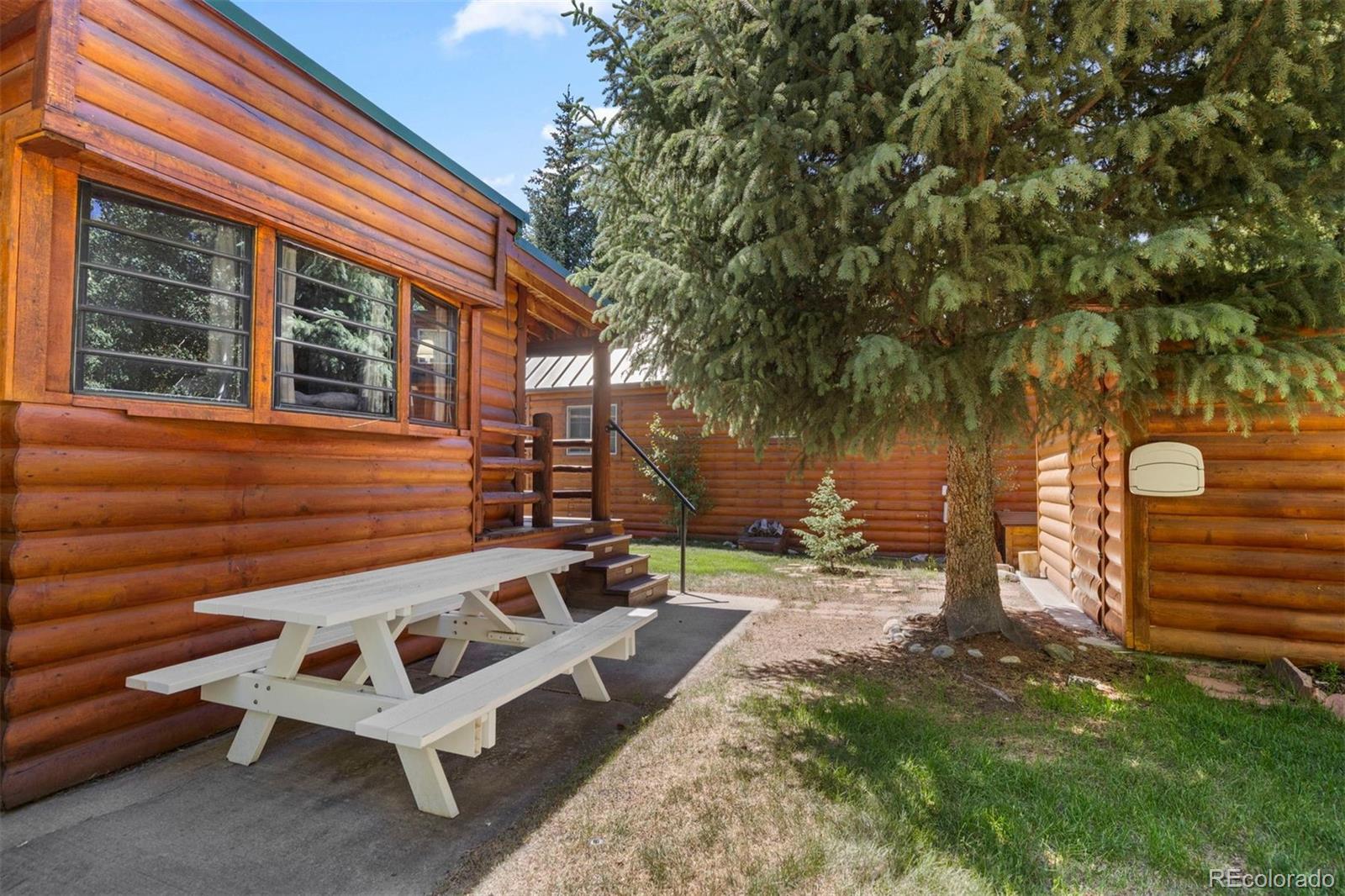 MLS Image #23 for 85  revett drive,breckenridge, Colorado