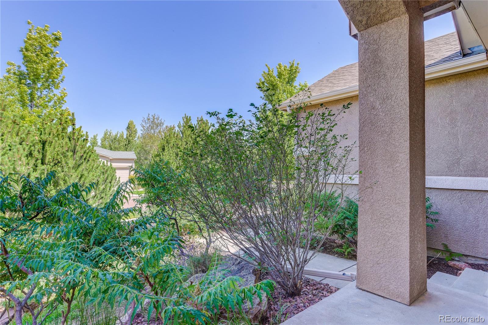 MLS Image #4 for 9923  red sage drive,colorado springs, Colorado