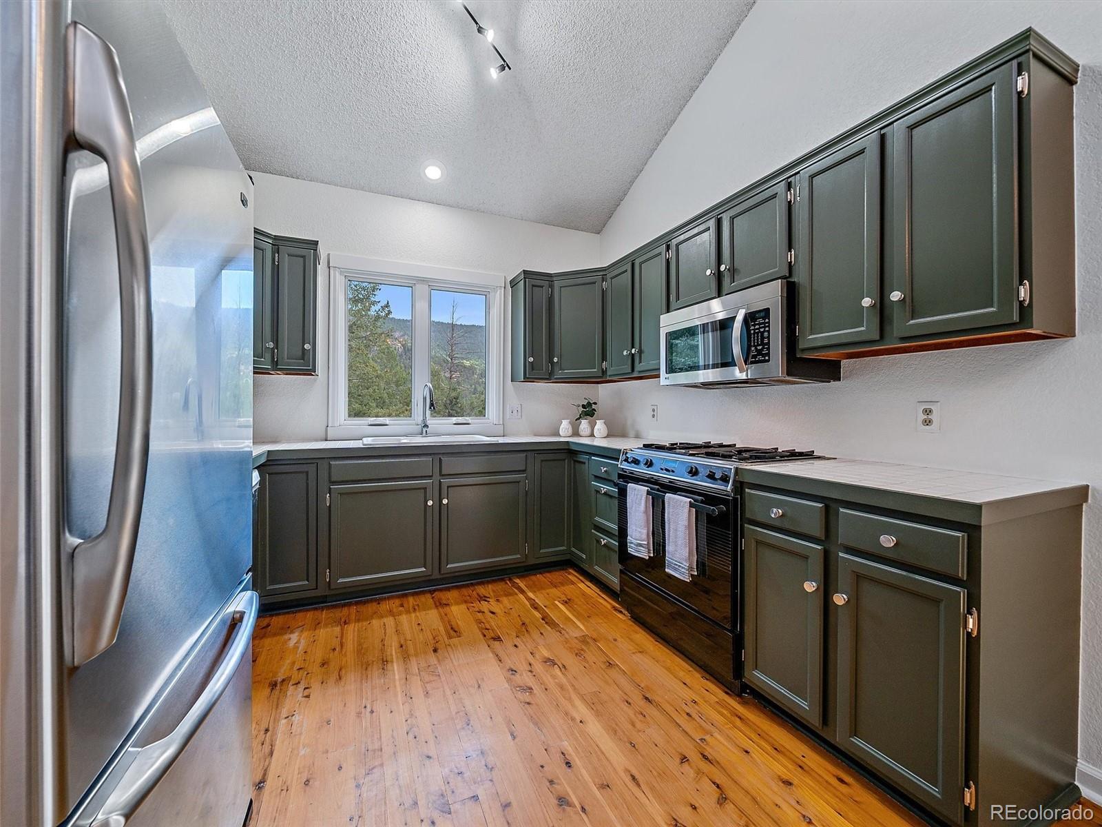 MLS Image #10 for 254  juniper lane,evergreen, Colorado