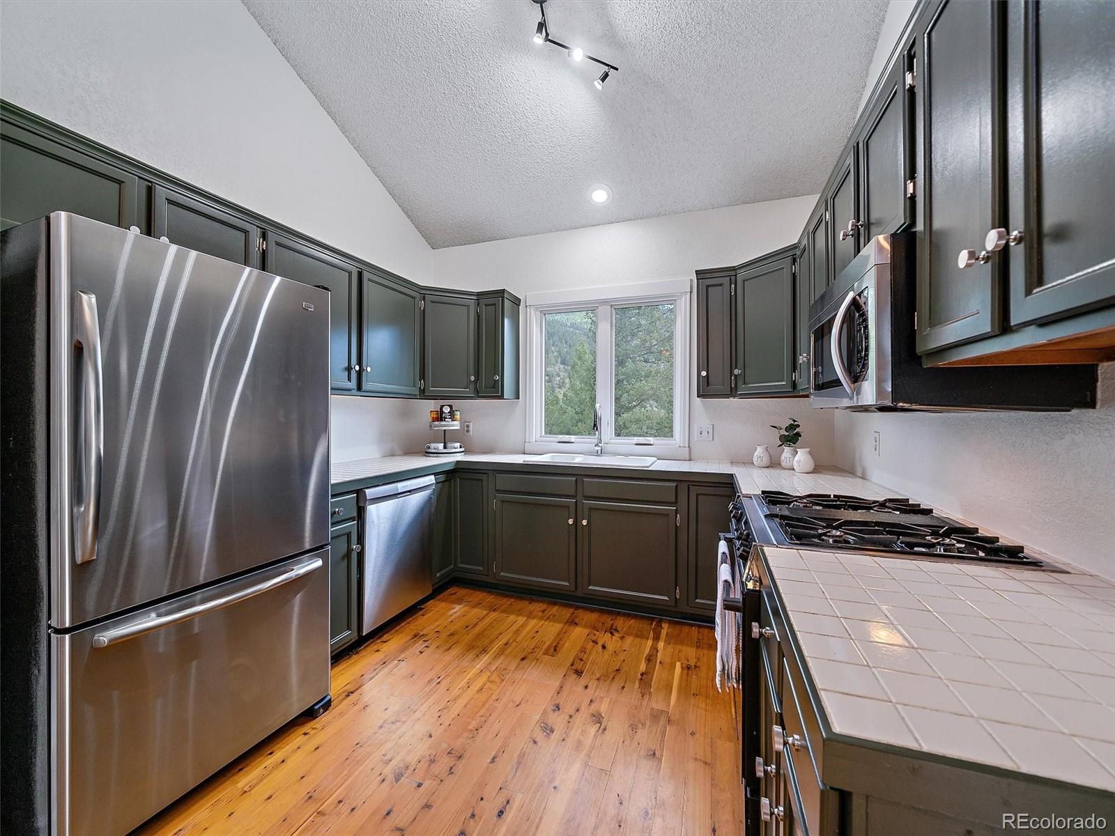 MLS Image #11 for 254  juniper lane,evergreen, Colorado