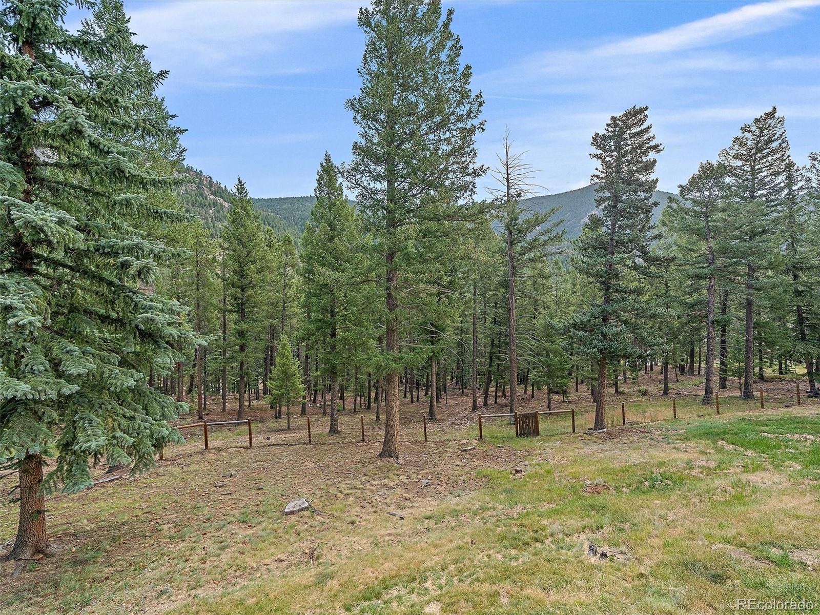 MLS Image #29 for 254  juniper lane,evergreen, Colorado