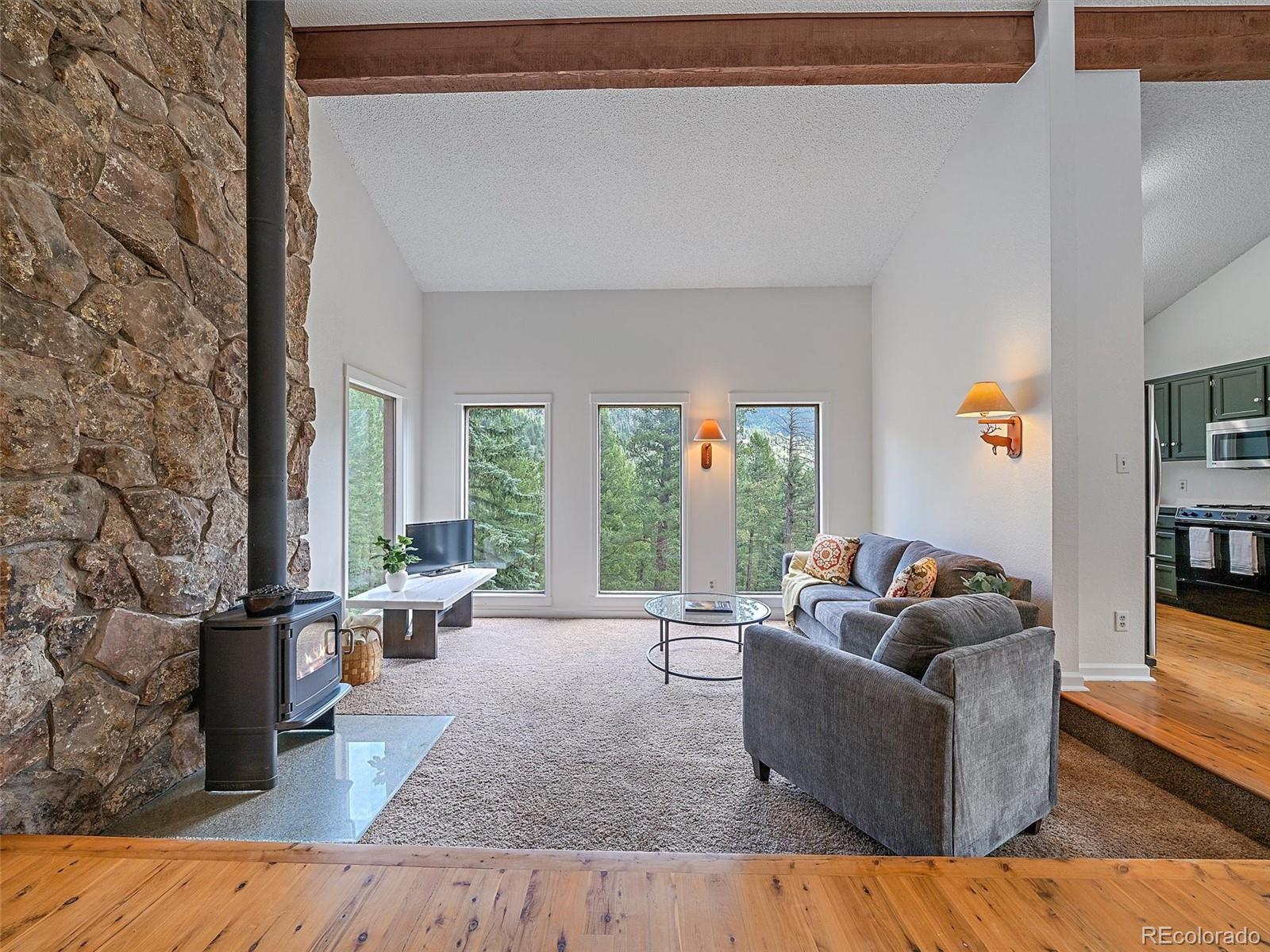 MLS Image #5 for 254  juniper lane,evergreen, Colorado