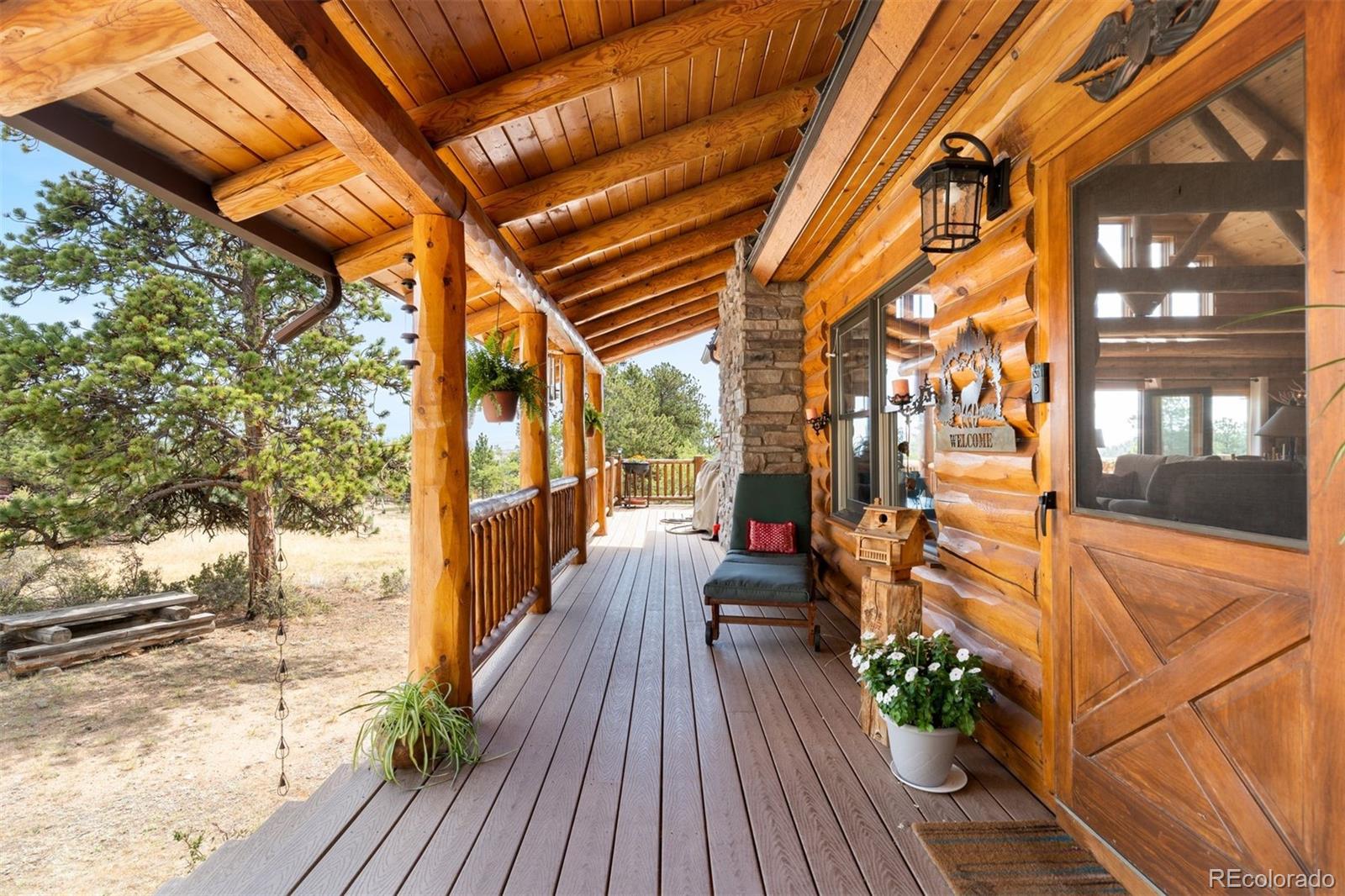 MLS Image #13 for 286  heron court,bailey, Colorado